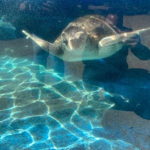 Meet your Posher, Cherice